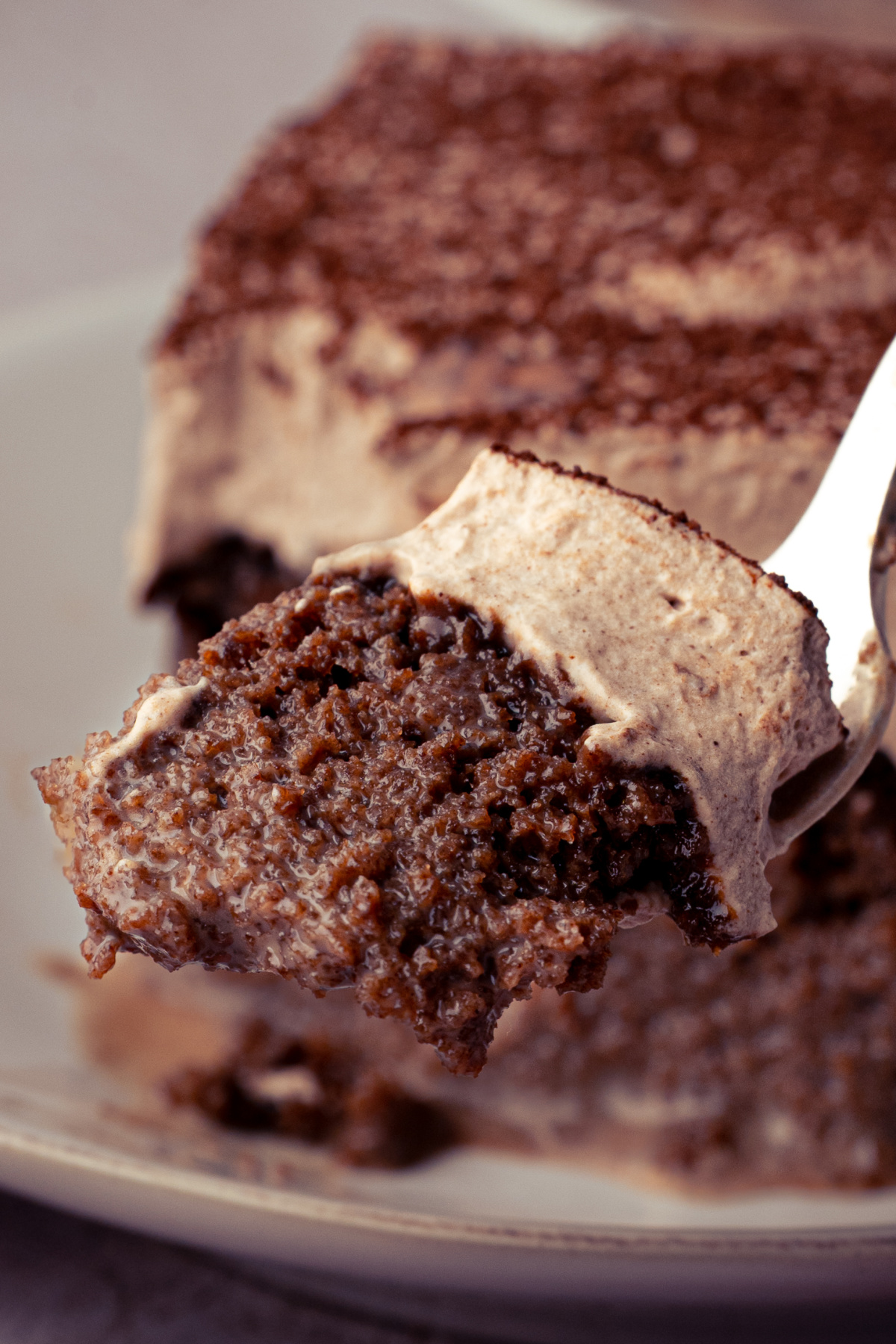 Close-up of the chocolate three-milk cake and whipped cream on a fork. Forkful of milk-soaked chocolate cake with chocolate whipped cream showing the moist interior up close.