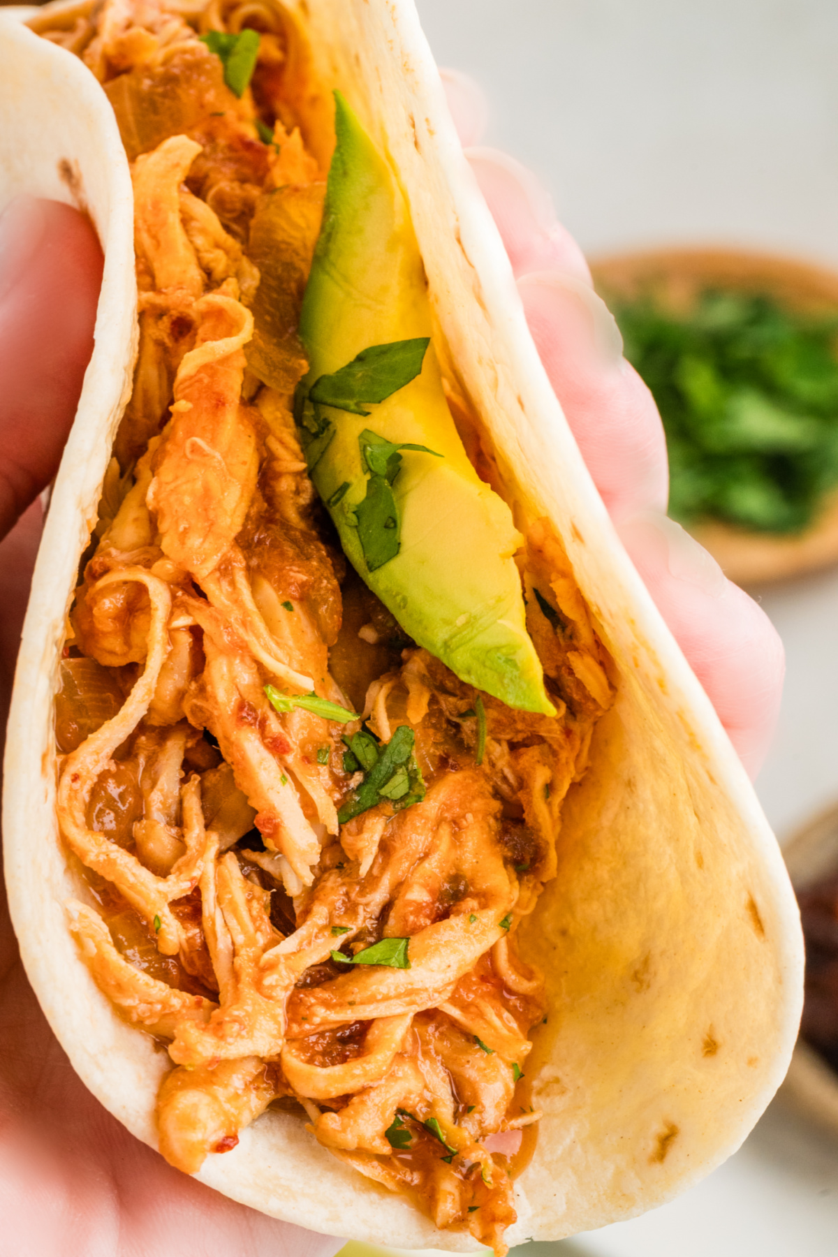 Chipotle chicken taco with sliced avocado and cilantro in a flour tortilla