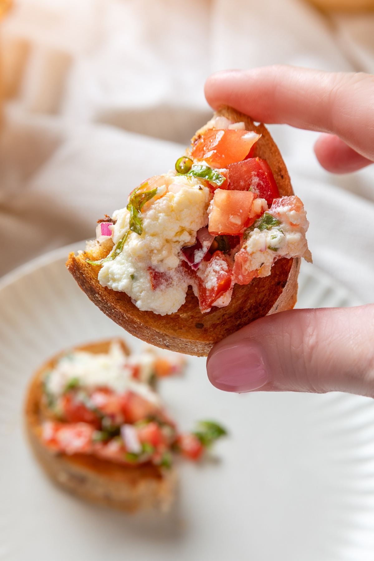 Crostini with Creamy Feta and Fresh Tomato Bruschetta creamy-feta-fresh-tomato-bruschetta-crostini