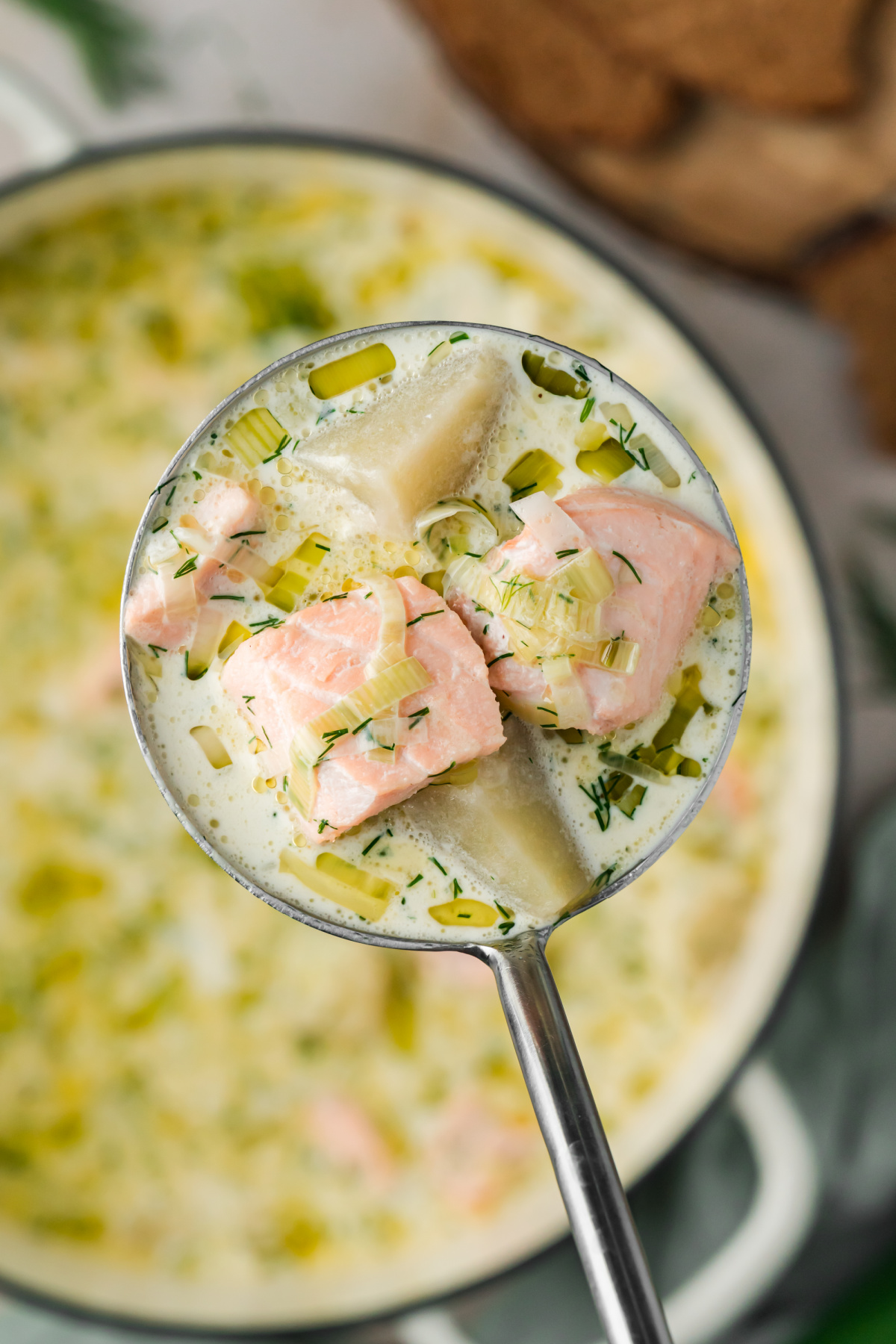 Ladle of Finnish salmon soup with salmon, potatoes, leeks and fresh dill over the pot.
