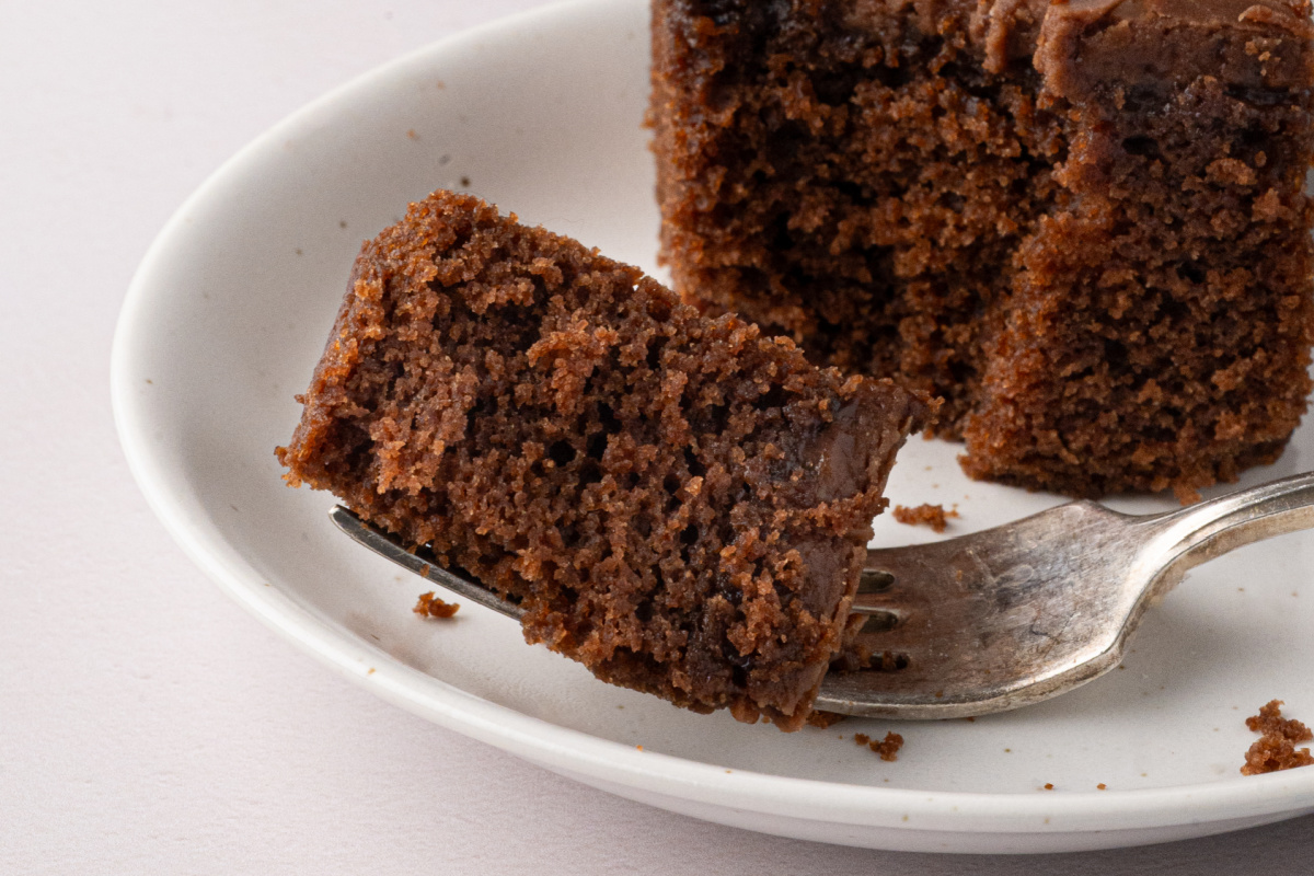 Chocolate Buttermilk Texas Sheet Cake with Thick Chocolate Frosting Fork holding a bite of chocolate buttermilk Texas sheet cake with a tender chocolate interior and thick fudge frosting.