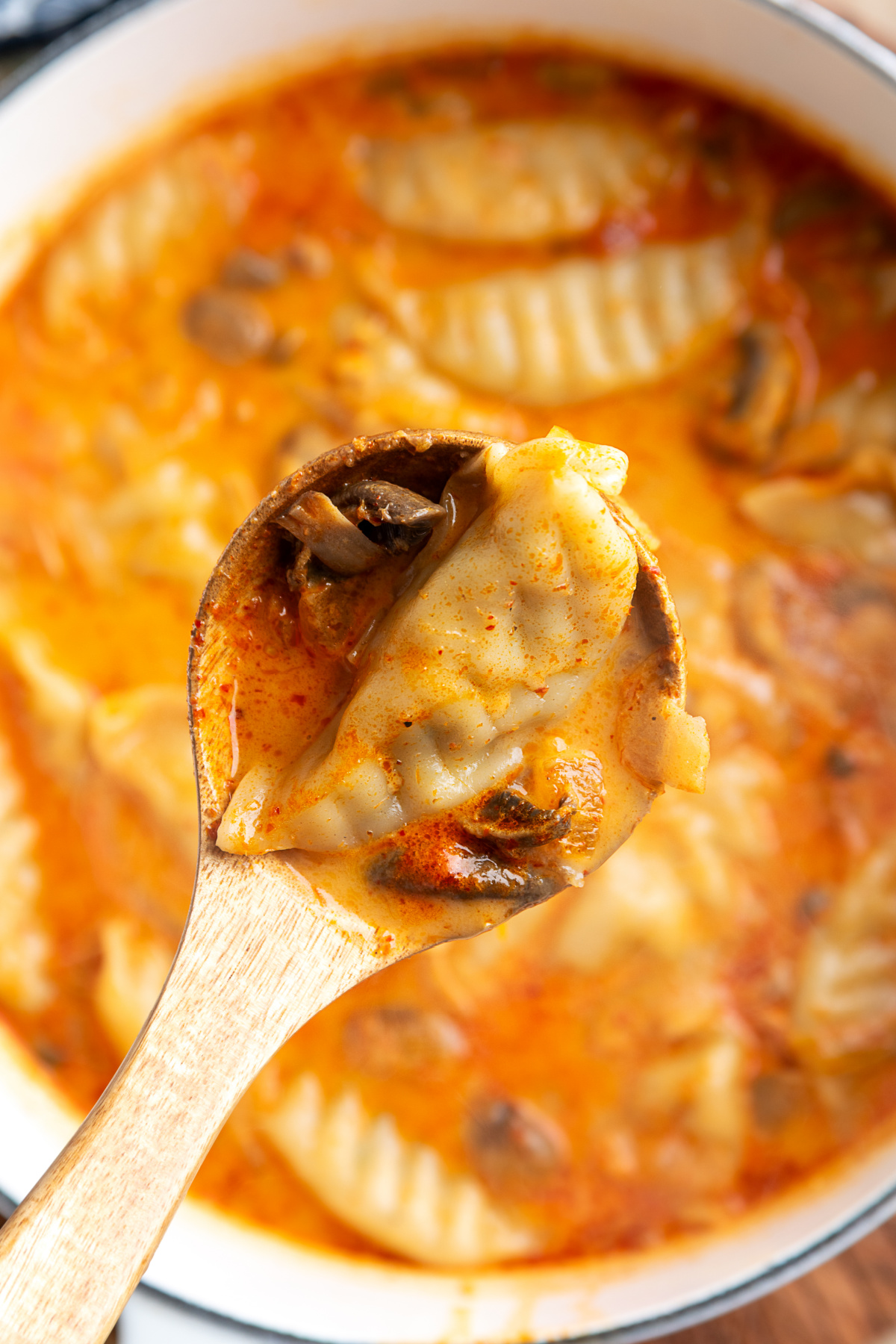 Pork Dumpling in Creamy Coconut Curry Broth Pork potsticker and sliced mushrooms lifted from creamy coconut red curry soup on a wooden spoon.