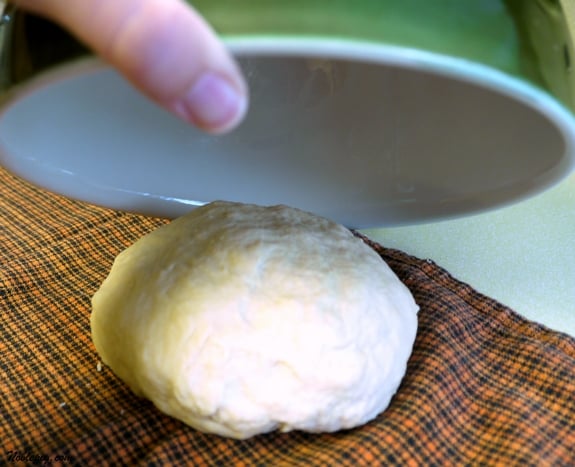dumpling dough