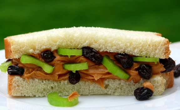 peanut butter, celery and raisin sandwich
